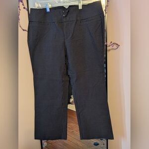NWT Torrid Retro Chic Crop Length Dress Pants